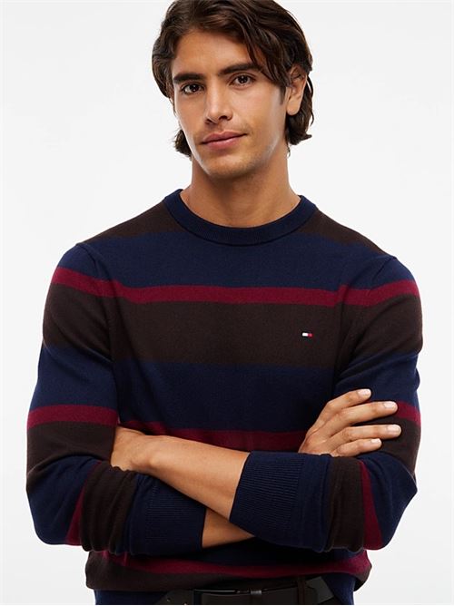 pima org ctn cashmere crew neck TOMMY HILFIGER | MW0MW280460A8